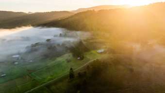 Horse Property for Sale - 2295 Nerang Murwillumbah Road Numinbah Valley QLD 4211