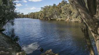 Horse Property for Sale - 124 Caversham Avenue Caversham WA 6055