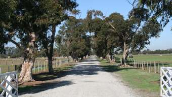 Horse Property for Sale - 1239 McBain Road Tongala VIC 3621