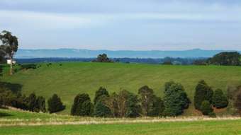 Horse Property for Sale - 115 Settlement Road Neerim VIC 