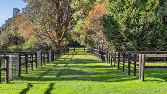 Horse Property for Sale - 180  Coolart Road Moorooduc VIC 3933