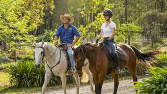 Horse Property for Sale - 179 Gresford Road, Paterson NSW 2421