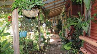 Horse Property for Sale - 393 Dam Access Road, Ghinni Ghi Kyogle NSW 2474