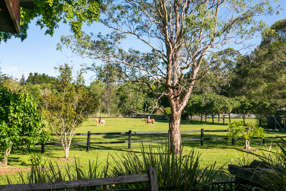 Horse Property for Sale - 35 Lawnville Road Cooroy QLD 4563