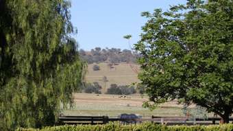 Horse Property for Sale - 1310 Duri Dungowan Road Tamworth NSW 