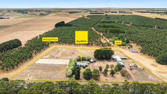 Horse Property for Sale - 585 Tomahawk Creek Road Simpson VIC 3266