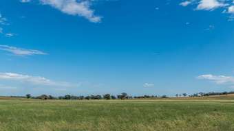 Horse Property for Sale - 'Old Beri' Euchareena Molong NSW 2866