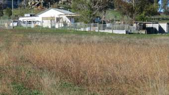 Horse Property for Sale - 38 Milburn Creek Road Woodstock NSW 2793