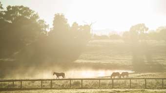 Horse Property for Sale - 154 Diggings Road (adj. Mylor &amp; Echunga) Chapel Hill SA 5153