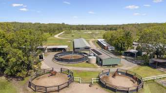 Horse Property for Sale - 1079 Pumicestone Road Toorbul QLD 4510