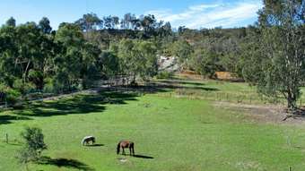 Horse Property for Sale - 91 Grant Street Orange Grove WA 
