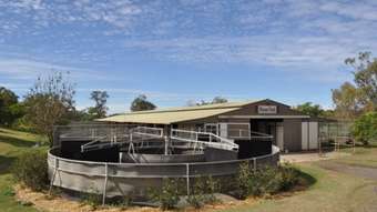 Horse Property for Sale - 168 Richardson Road Southbrook QLD 