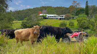 Horse Property for Sale - Batar Creek NSW 2439