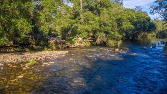 Horse Property for Sale - Birdwood NSW 2446