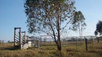 Horse Property for Sale - 548 Ringwood Road Booyal QLD 
