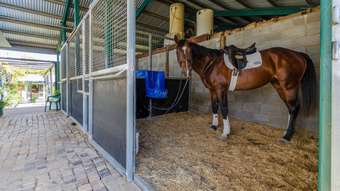 Horse Property for Sale - 347 Old Stanthorpe Road Warwick QLD 