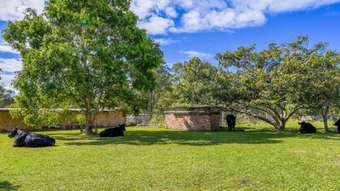 Horse Property for Sale - Frederickton NSW 2440