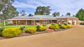 Horse Property for Sale - 185 Boeill Creek Road Boeill Creek NSW 