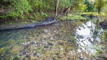 Horse Property for Sale - 128F Friday Creek Road Coffs Harbour NSW 