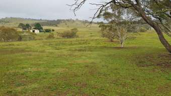Horse Property for Sale - 369 Collins Road Numeralla NSW 2630
