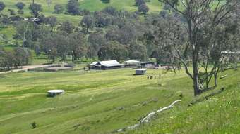 Horse Property for Sale - 1 Old Tonga Road Mansfield VIC 