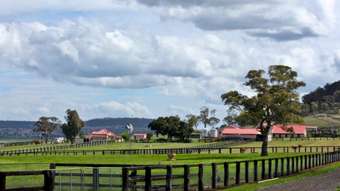 Horse Property for Sale - 1 Christensen Road Greenmount QLD 