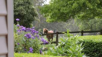 Horse Property for Sale - 1915 Strzelecki Highway Delburn VIC 3871