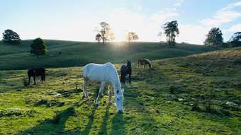 Horse Property for Sale - 478 Mizpah Settlement Road Buln Buln East VIC 3821
