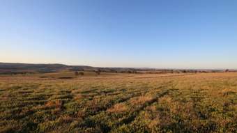 Horse Property for Sale - 374 Wimbledon Road Bathurst NSW 2795