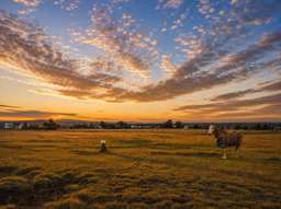 25-33 Logan Street Kingaroy QLD 4610