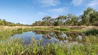 Horse Property for Sale - 745 Frankston Flinders Road Baxter VIC 3911