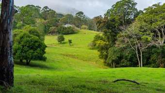 Horse Property for Sale - Bald Knob QLD 4552
