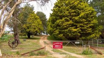 Horse Property for Sale - 2484A Great Western Highway Meadow Flat NSW 2795