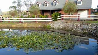 Horse Property for Sale - 44 Burma Road Yundi SA 5172