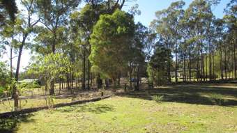 Horse Property for Sale - 187 Percy Davis Drive Moruya NSW 