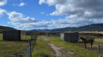 Horse Property for Sale - 136 Marengo Farm Richmond TAS 