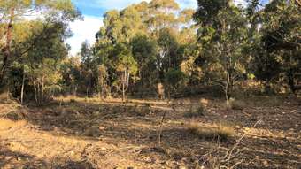 Horse Property for Sale - 274 Willow Glen Road Goulburn NSW 2580