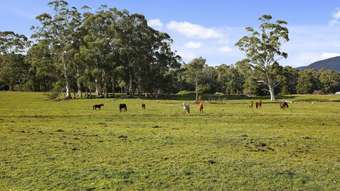 Horse Property for Sale - 185 Dee Rd Millgrove VIC 3799