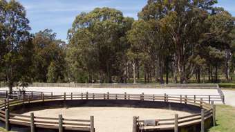 Horse Property for Sale - 632 Stephenson Road Tambo Upper VIC 