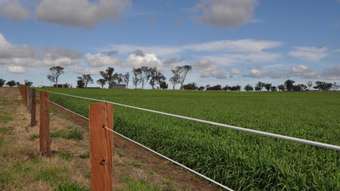 Horse Property for Sale - 354 Westbrook-Wyreema Road Westbrook QLD 