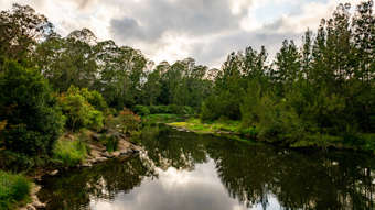 Horse Property for Sale - 1890 Maleny - Kenilworth Road Conondale QLD 4552