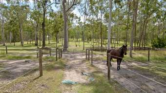 Horse Property for Sale - 160 Glynton Road Jimboomba QLD 