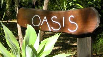 Horse Property for Sale - 140 Collwood Road Lake Macdonald QLD 