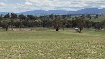 Horse Property for Sale - O'connell NSW 2795