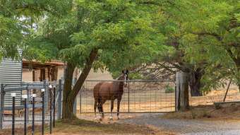 Horse Property for Sale - 371  Boutchers Drive Murrumbateman NSW 2582
