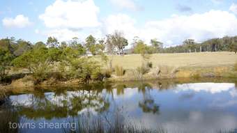 Horse Property for Sale - 2304 East Tamar Highway Mount Direction TAS 