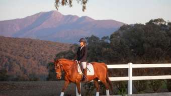 Horse Property for Sale -  224 Purcells Road Merrijig VIC 3723