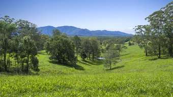 Horse Property for Sale - 105 Kethels Road Bellingen NSW 