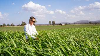 Horse Property for Sale - 353 Cassidys Lane Gooloogong NSW 2805