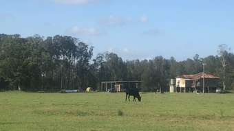 Horse Property for Sale - Crescent Head NSW 2440